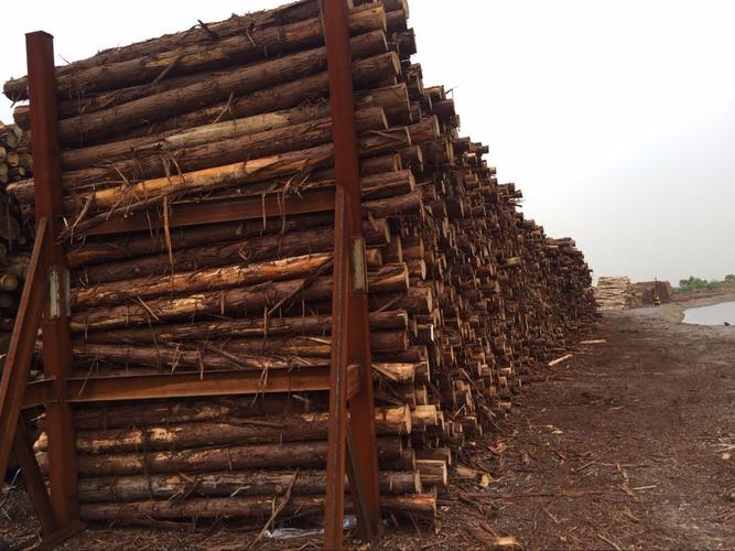 发货快苏州木已成舟木材销售有限公司坐落于中国长三角经济圈腹心地带